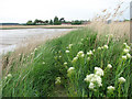 Path along the River Alde by Snape Maltings in IP17 1SL