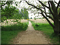Path south of Snape Maltings in IP17 1SL