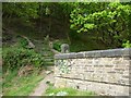 Steps leading from Scarwood Footbridge in HD7 5NL