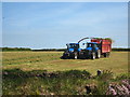 Cutting silage on the cliff top at Portreath in TR16 4NA