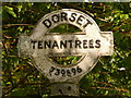 West Knighton: detail of Tenantrees signpost in DT2 8PD