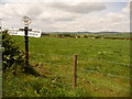 Buckland Ripers: signpost and farmland in DT3 4BS