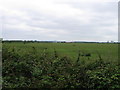 View across fields to Southampton water in SO40 4WW