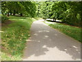 Newport : path from southwest entrance of Belle Vue Park in NP20 3BG
