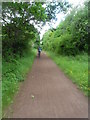 Trans Pennine Trail - Lymm in WA13 9PT