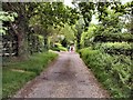 Path by Brookhurst Farm in TN22 5LA