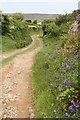 Bridlepath to Bosvenning in TR20 8QN