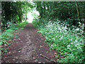 Footpath approaching School Lane, Little Dunham in PE32 2DJ