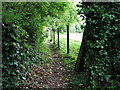 Path alongside disused railway line in PE32 2DJ