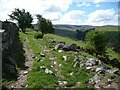 Mountain trackway towards the Berwyn ridge in Llandrillo Community