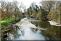 The Kent River at Levens Hall. in LA8 0PD