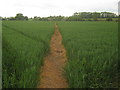 Footpath towards Mersham in TN25 6SY