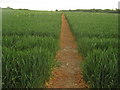 Footpath towards Evegate Mill in TN25 6SY