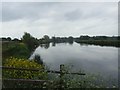 River Trent downstream at Ferry Meadow in DE65 6EU