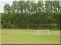 Playing fields, Alloa in FK10 2BS
