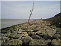 Sea defences near Warden Point, Isle of Sheppey in ME12 4NB