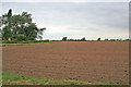 Farmland off Little Lane, Gosberton Cheal in PE11 4AU