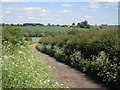 Lane from Whitnash to Radford Barn in CV31 1UT