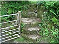 Footpath steps around gate at Carreg Pentwyn Farm in SA9 2BE