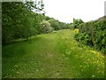 Footpath alongside the River Calder, Copley, Skircoat (Halifax) in HX3 0UH