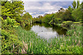 The village pond - Buckden in Buckden