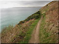 Coast path above Carbis Bay in TR26 2NY
