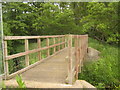 Footbridge near Partridge Farm in TN25 6AG