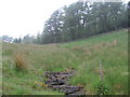 Remains of old bridge over burn below The Ward woodland in PA12 4DN