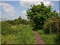 Centenary Way footpath to Ryton-on-Dunsmore in CV8 3NQ