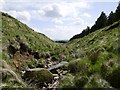 Stream channel on Anglezarke Moor in Anglezarke