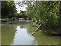River Thames near Oxford ice rink in OX1 4QH
