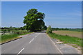 Road to Aldeby in Aldeby