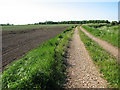 Farm track south of Silt Road in PE38 0BX