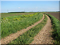 Track beside drainage ditch in PE38 0BX