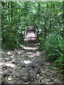 Footbridge near Vann Lake in RH5 5HY