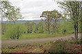 Track, Rannoch Forest in PH17 2QR