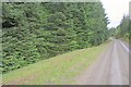 Track, Rannoch Forest in PH17 2QQ