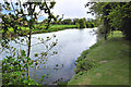 The River Thames at Cheese Wharf - Buscot in SN7 8DQ