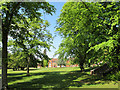 Epsom college grounds and trees in KT17 3PS
