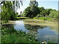 Pond near Denver Mill in PE38 0EA
