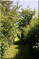 Footpath to The Ridgway in EN6 5BW