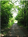 Footpath to Heath Hospital in CF14 3QZ