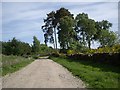 Lane from Bohill to Catterloch in AB31 4HD