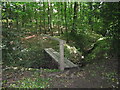 Footbridge in Birch Copse in RH14 0TT