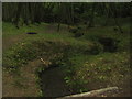 Stream in Priory Wood in TN25 7JS