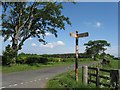 Road junction by Witches Syke Plantation in EH35 5NL