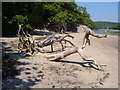 Dead tree and lime kiln, Erme estuary in PL8 1JH