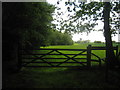 Gate near Tilelodge Wood in TN25 7AT