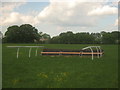 Cross country horse jump near Tilelodge Wood in TN25 7AT