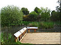 Kingmoor Wildlife Pond in CA3 0DX